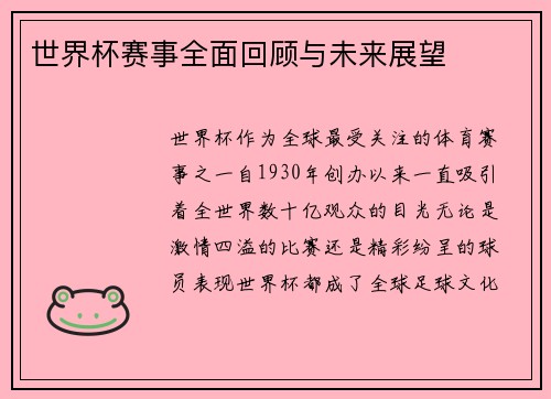 世界杯赛事全面回顾与未来展望